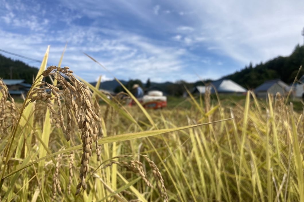 令和5年度 会津地域移住促進・定住支援事業