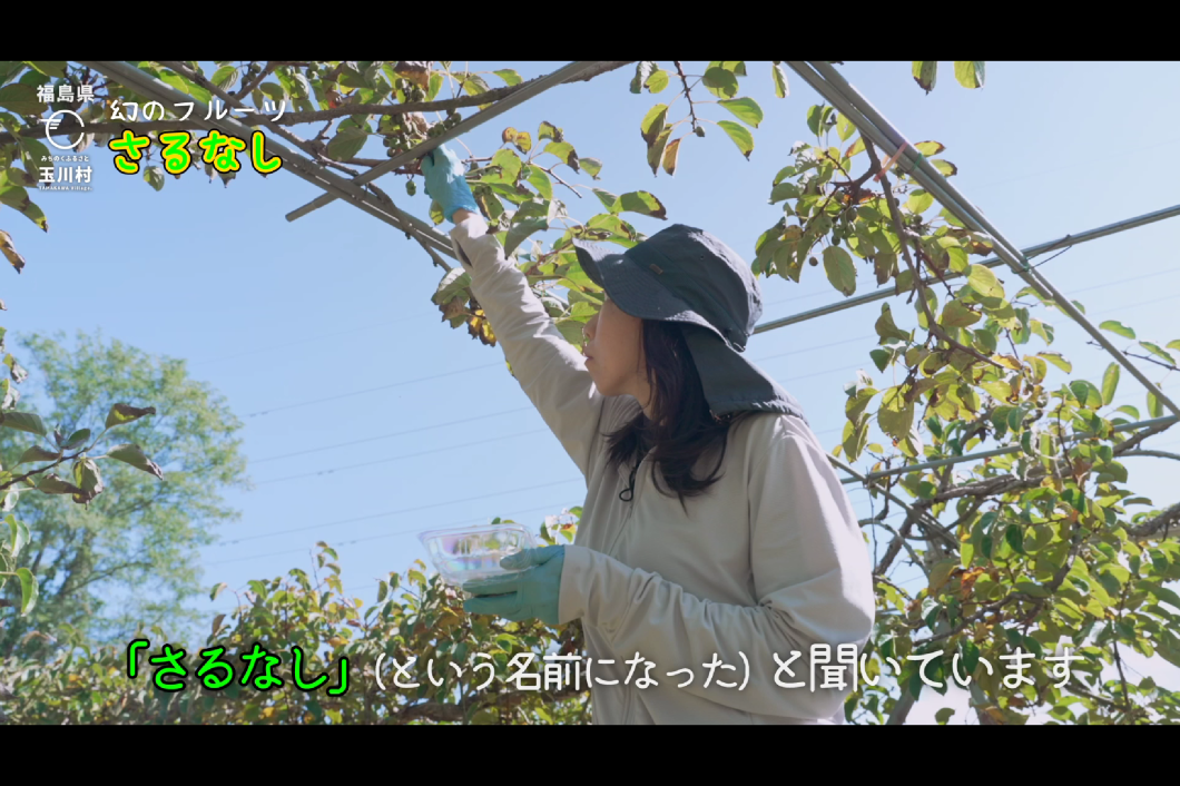 さるなしPR動画